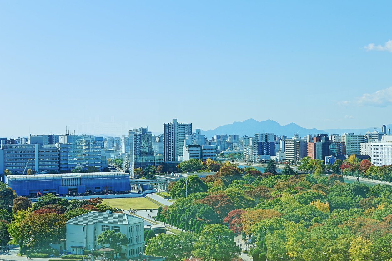 hiroshima-salon-beard-hair-removal